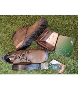 Bristlecone Olive Edition - Shop the Look
