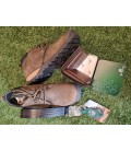 Bristlecone Olive Edition - Shop the Look