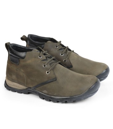 Bristlecone Olive Edition - Shop the Look